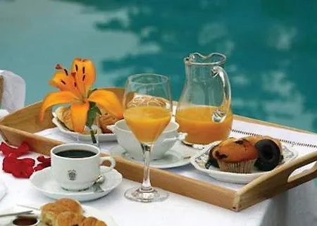 Hotel Arcea Halcon Palace